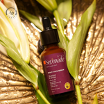 Load image into Gallery viewer, Serenade Slumber & Shine Night Face Serum with Neroli, Rose, Frankincense and Saffron essential oils placed in a warm natural setting for overnight aromatherapy skincare